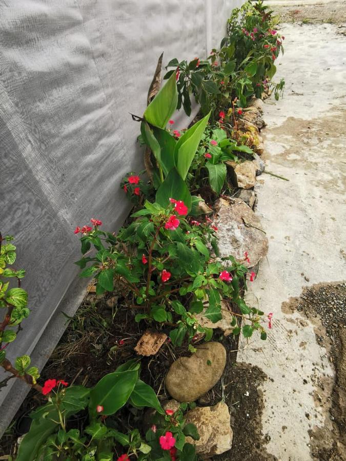Dreamcatcher Homestay, Kundasang Ranau Esterno foto