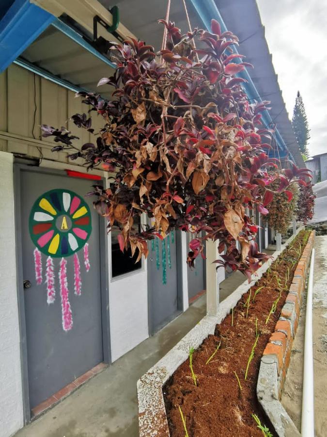 Dreamcatcher Homestay, Kundasang Ranau Esterno foto