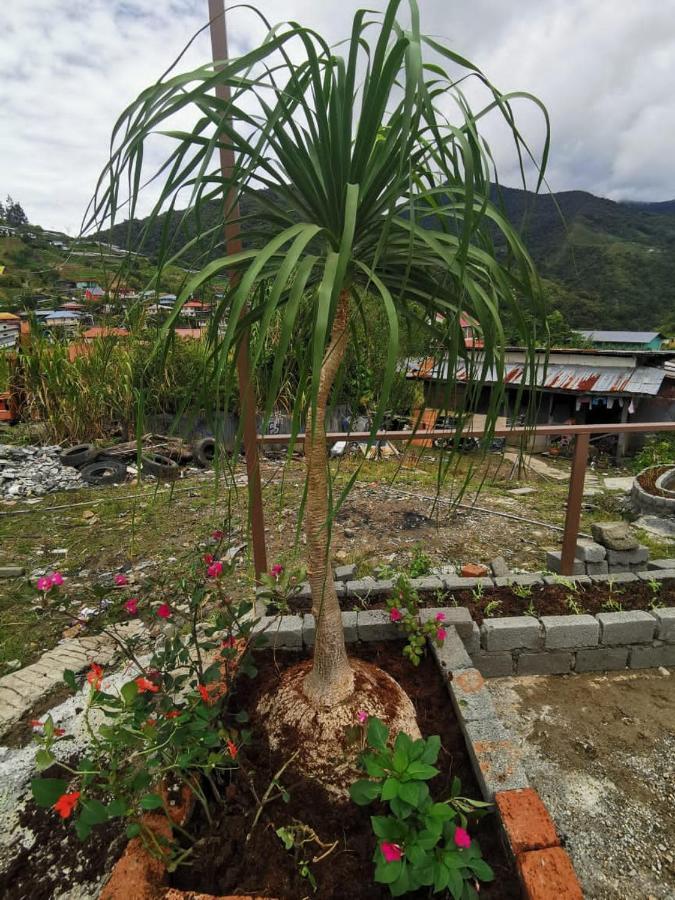 Dreamcatcher Homestay, Kundasang Ranau Esterno foto